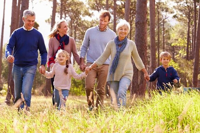 Family of six walking and holding hands in a sunny forest.