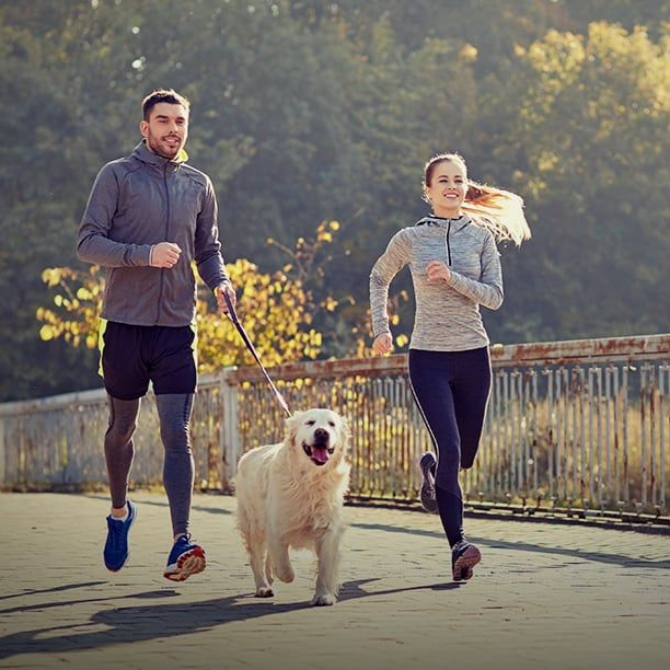 A couple jogging with a golden retriever dog on a bridge in sunlight.