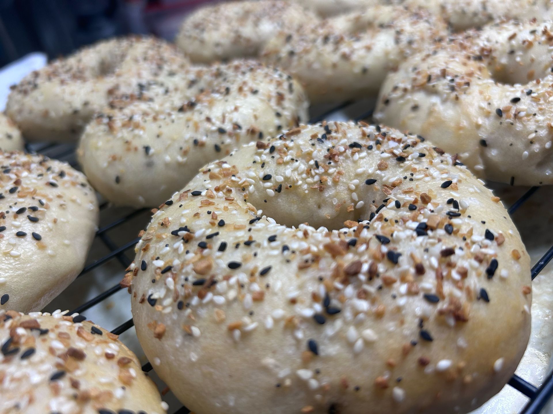 A bunch of bagels are sitting on a cooling rack.