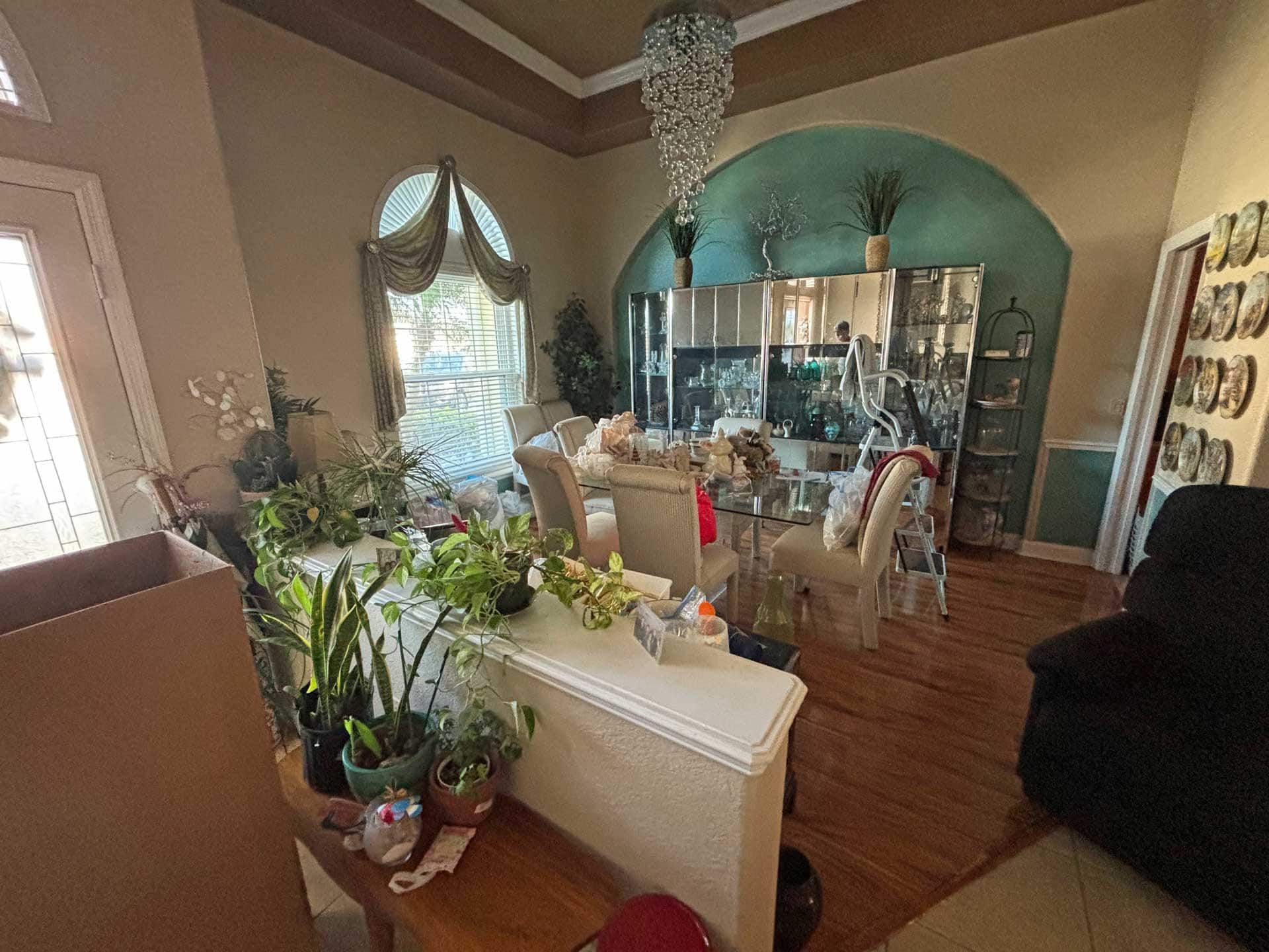 A dining room with a table, chairs, plants, and a chandelier. The walls are beige, and the floor is wood.