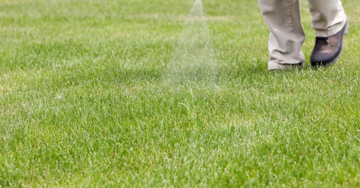 Lawn Care & Landscaping Services In Seaside, Florida