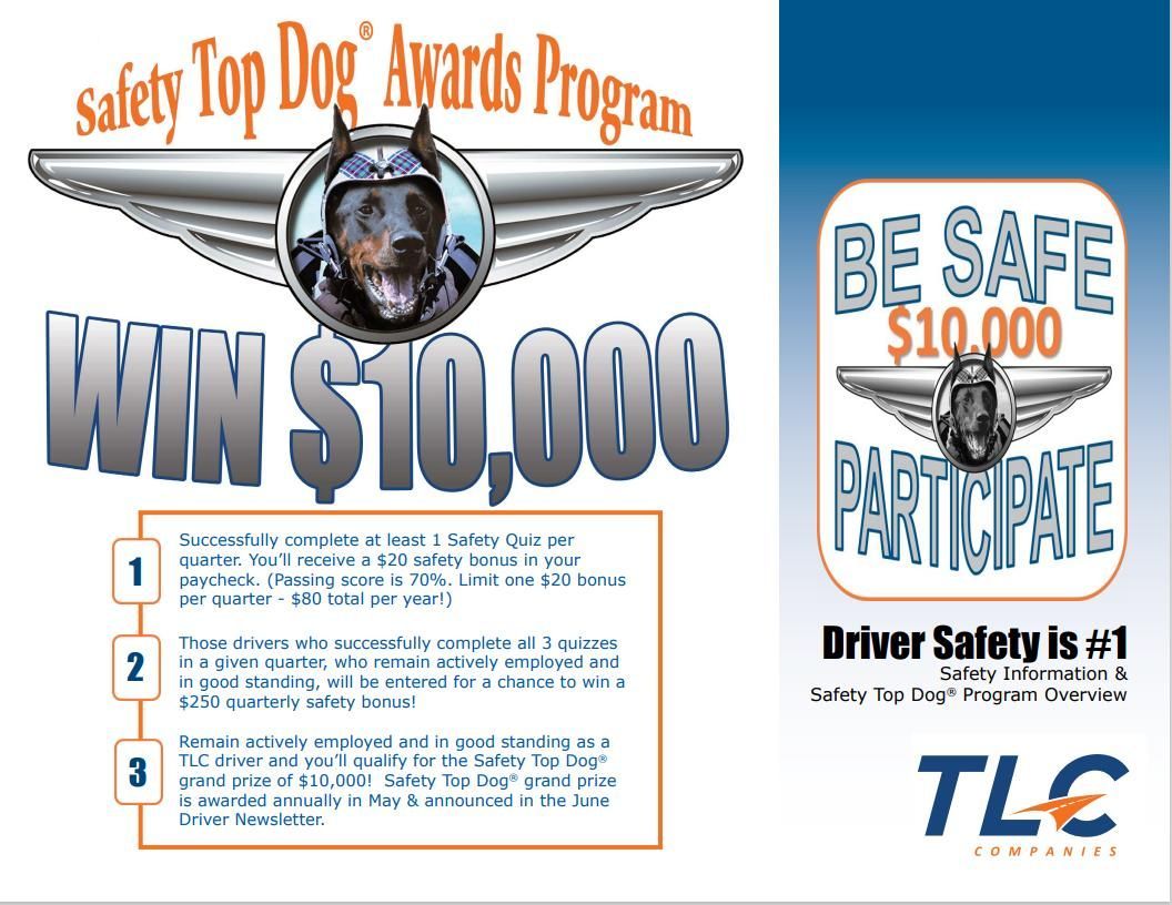 A poster for the safety top dog awards program