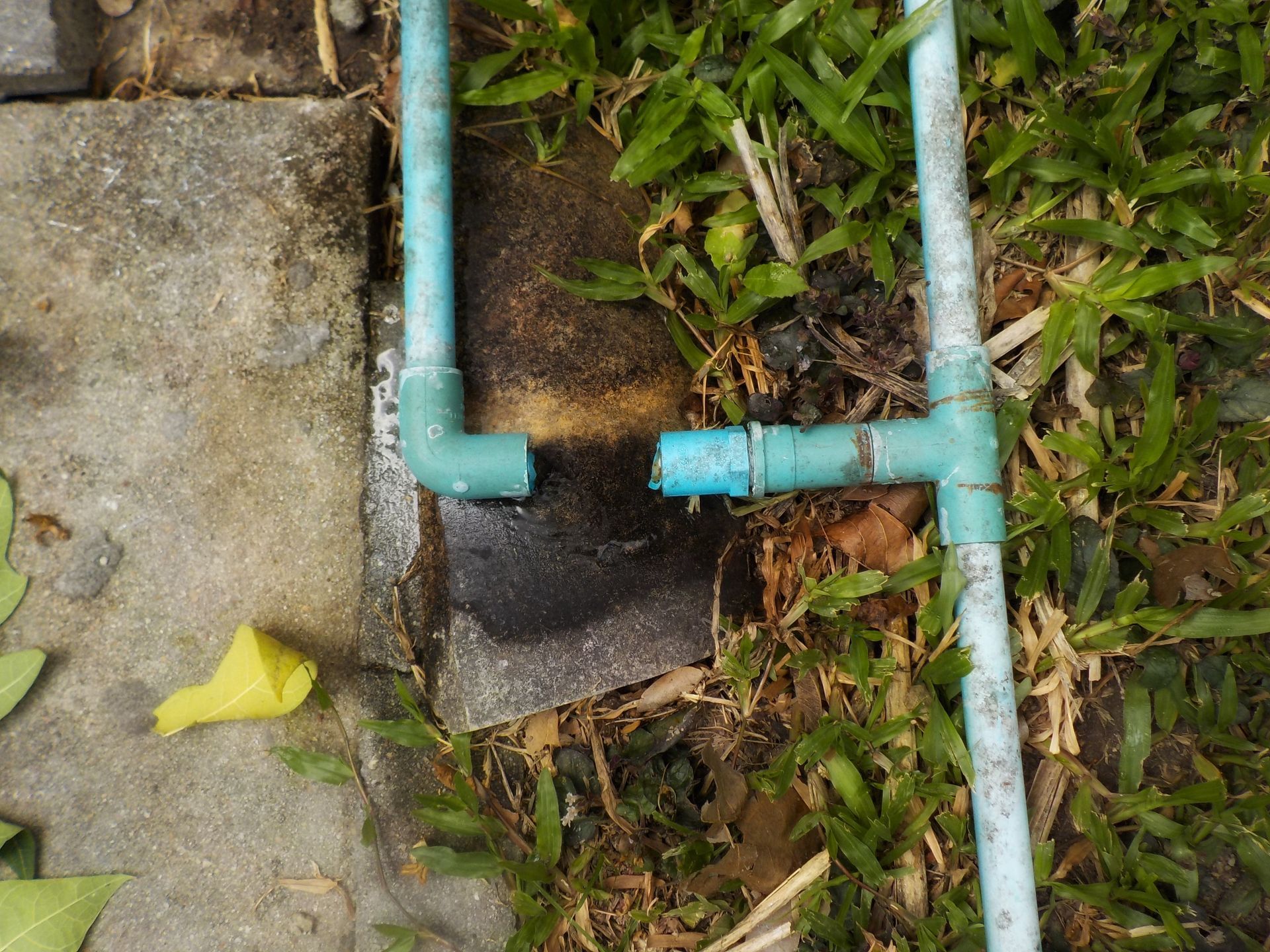 Blue-green PVC pipes over a patch of dirt beside stone paving and grass.
