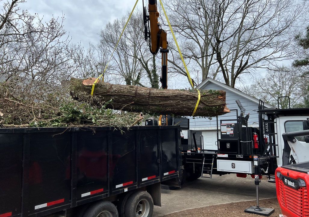 A large log is being lifted by a crane into a dumpster.