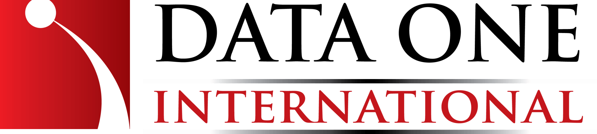 data one international logo