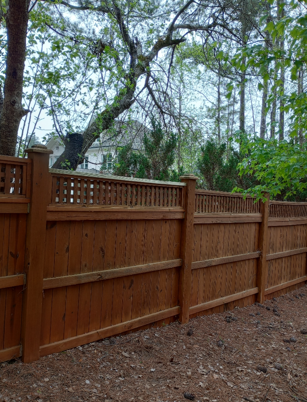 A wooden fence is surrounded by trees in a backyard.