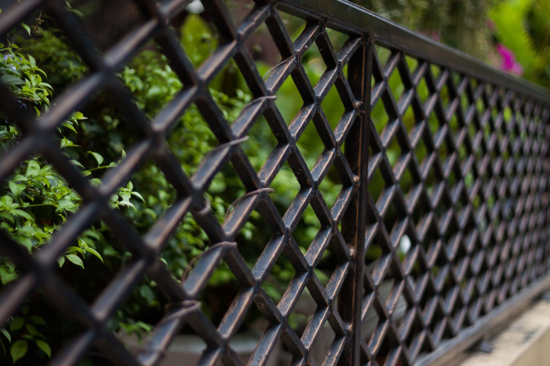 A close up of a metal fence with plants in the background.