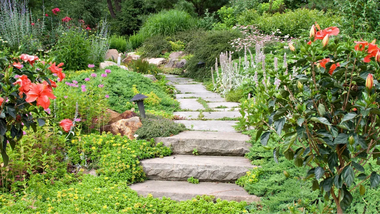 A stone pathway in a cottage style garden