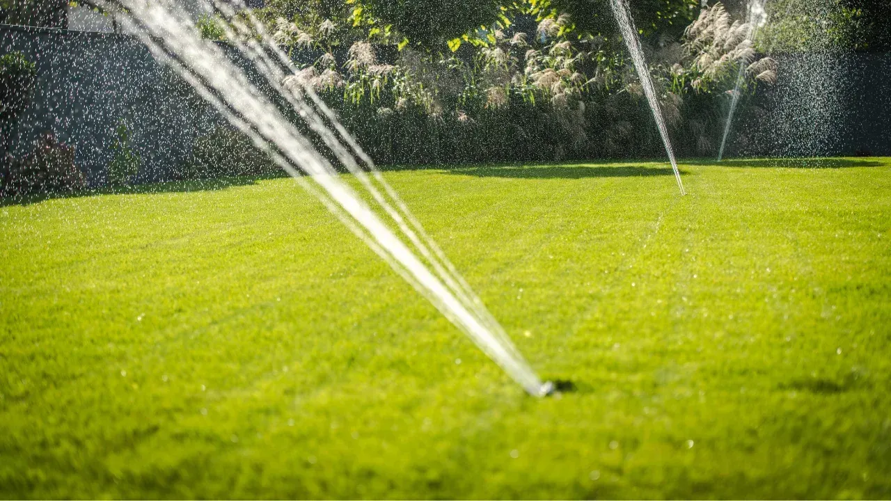 A sprinkler system watering a yard