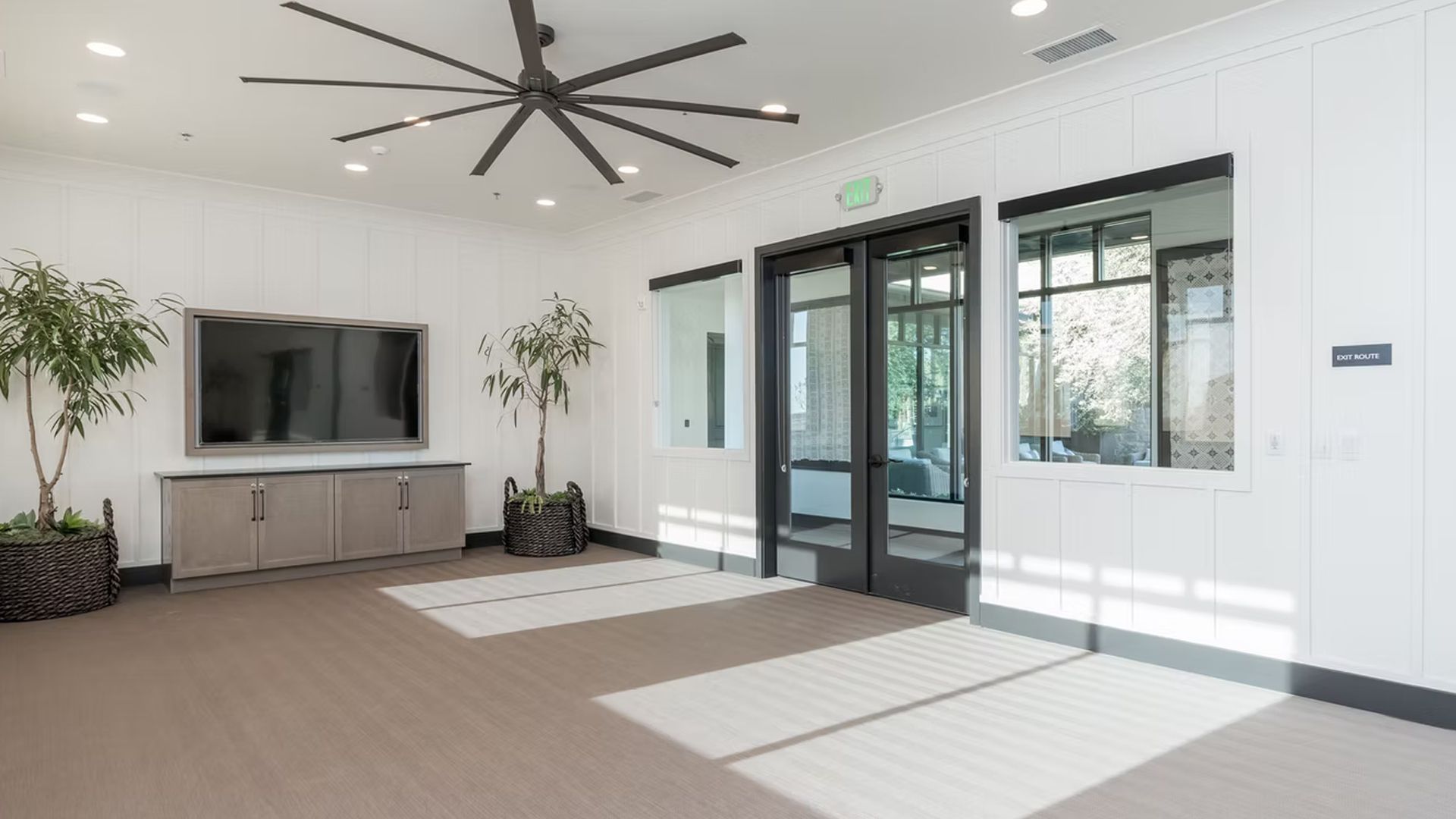 Spacious, white room with a large screen TV, plants, and sunlight streaming through windows.