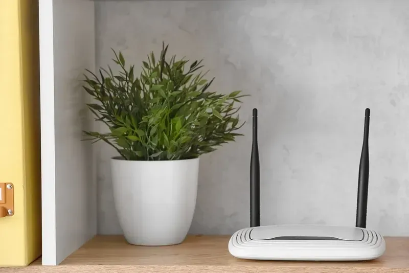 White Router With Antennas on a Wooden Shelf Next to a Potted Plant, Against a Gray Wall — Superior Wifi in Byron Bay, NSW