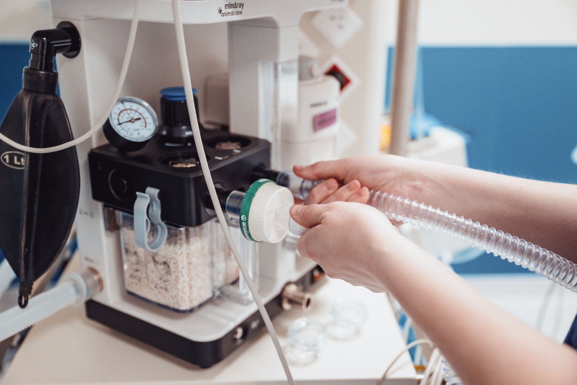 Une personne utilise une machine d'anesthésie dans un hôpital.