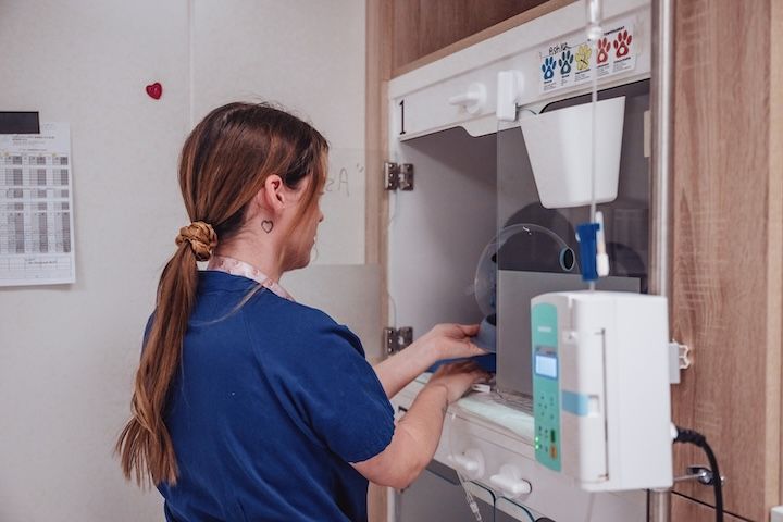 Une infirmière vétérinaire travaille sur une machine dans une chambre d'hôpital.