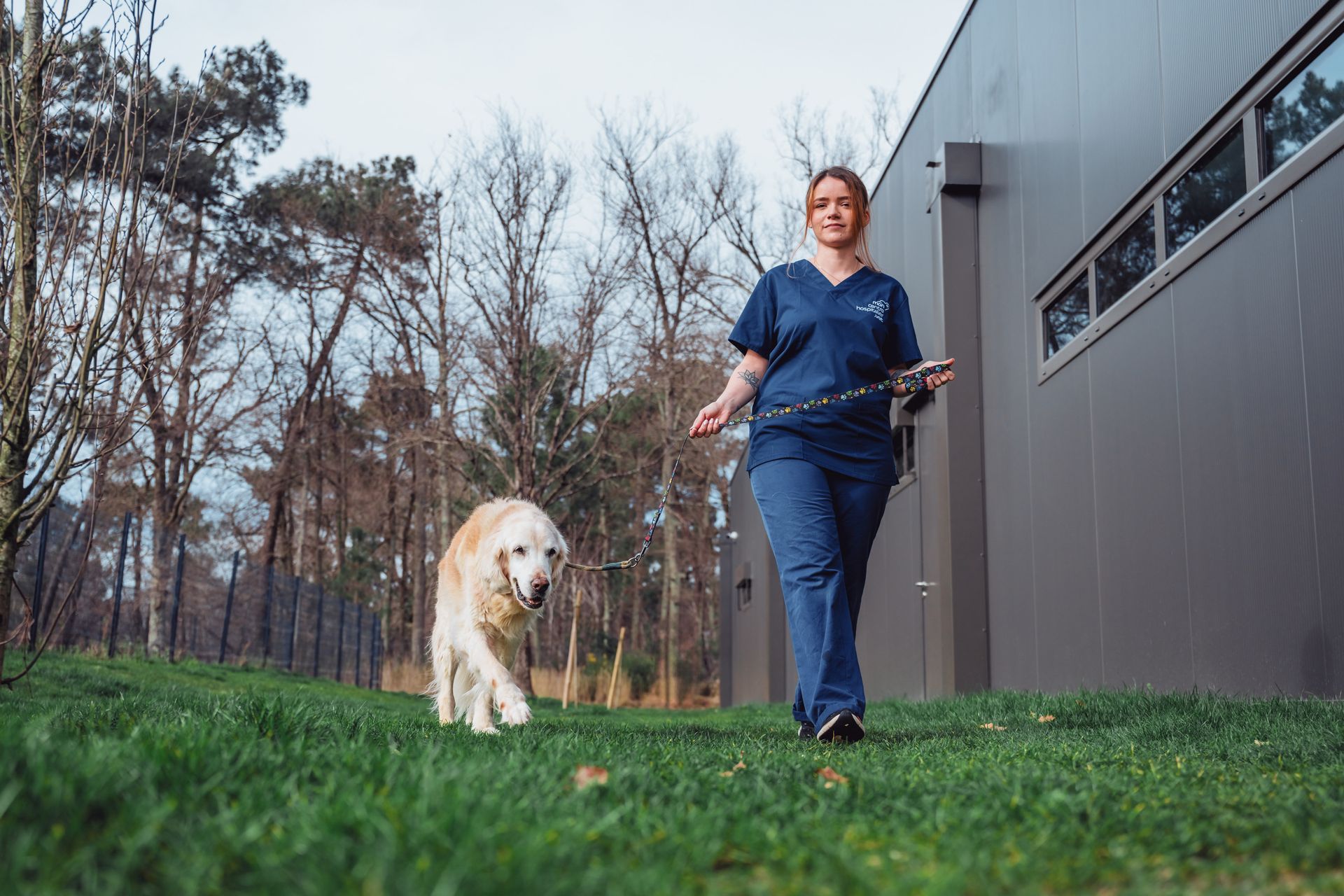 Une femme promène un chien hospitalisé en CHV en laisse.