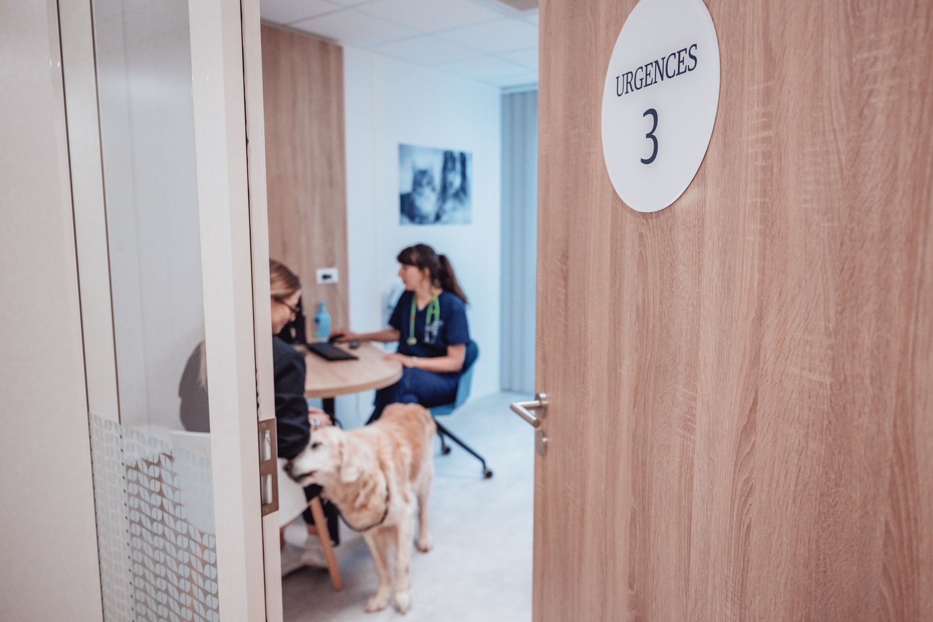 Une femme est assise à une table avec un chien dans une pièce.