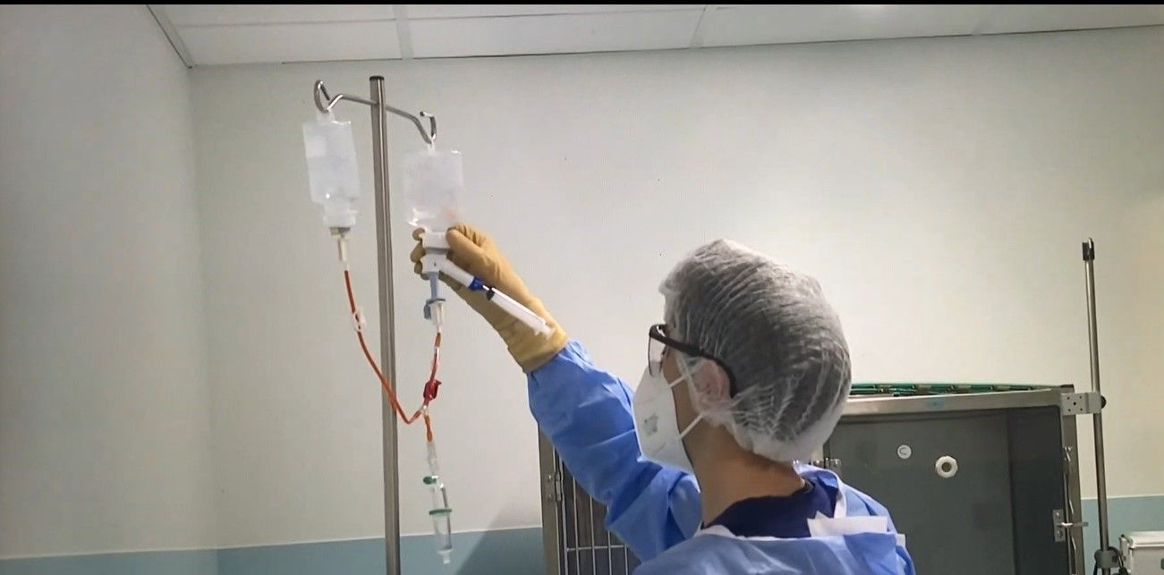 Un chirurgien prépare une perfusion intraveineuse dans une chambre d'hôpital.