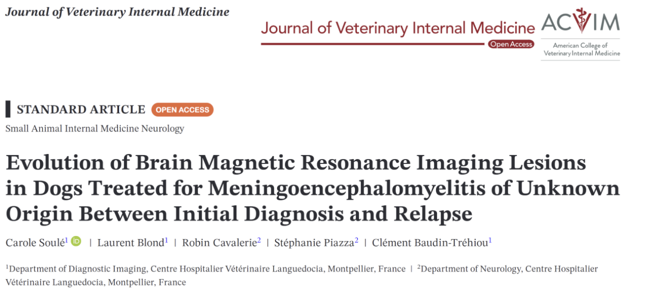 Un article du journal de médecine interne vétérinaire sur les lésions d'imagerie par résonance magnétique cérébrale chez les chiens