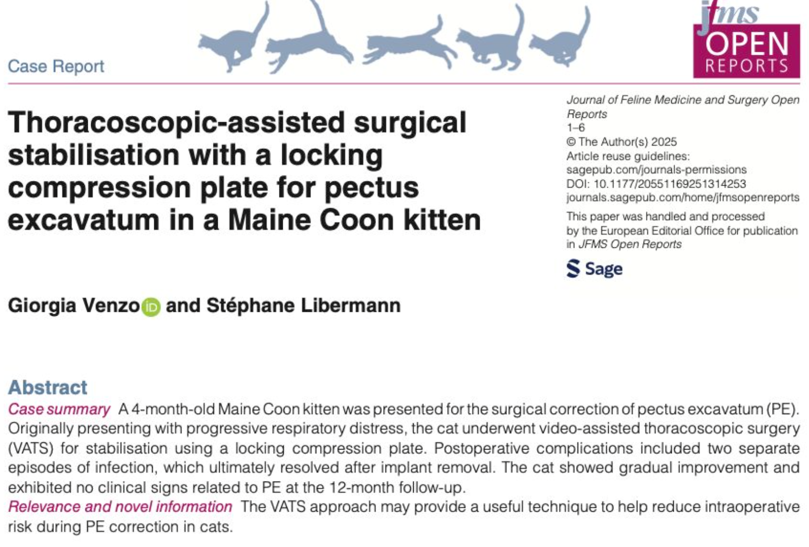 Une stabilisation chirurgicale avec une plaque de compression verrouillable pour le pectus excavatum chez un chaton Maine Coon