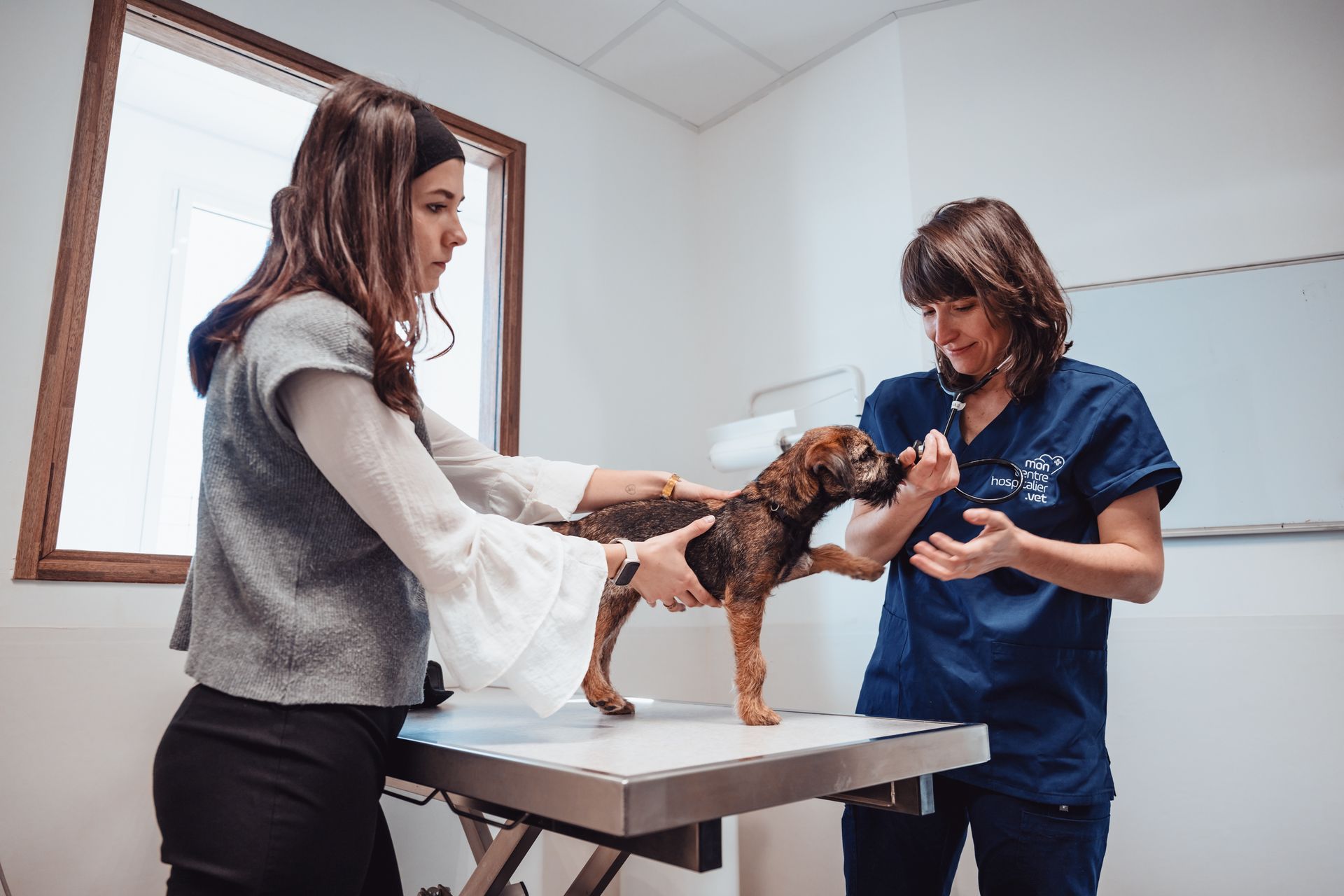 Une femme tient un chien pendant qu'un vétérinaire l'examine.