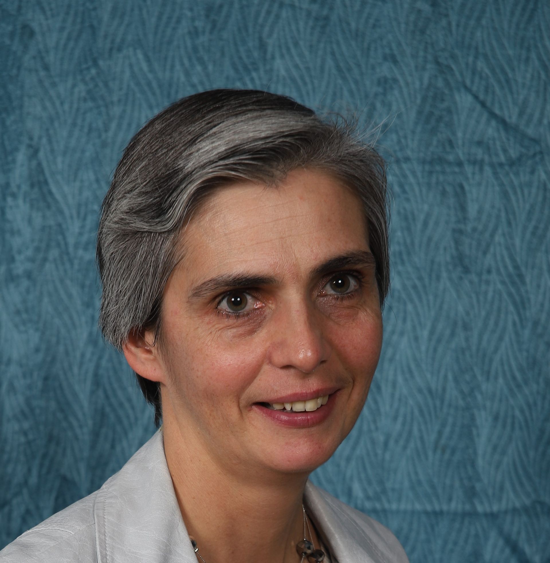 Un cheval brun debout derrière une clôture métallique regardant la caméra.