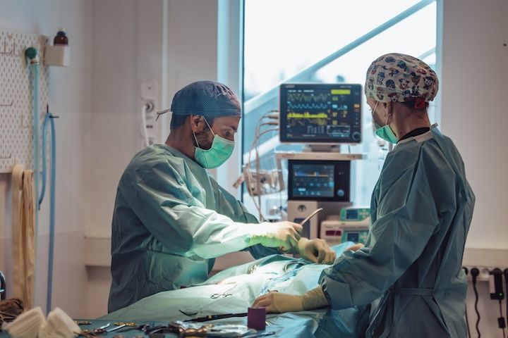 Deux chirurgiens opèrent un chien dans une salle d'opération.
