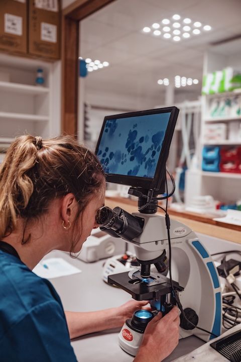 Une femme regarde à travers un microscope dans un laboratoire.