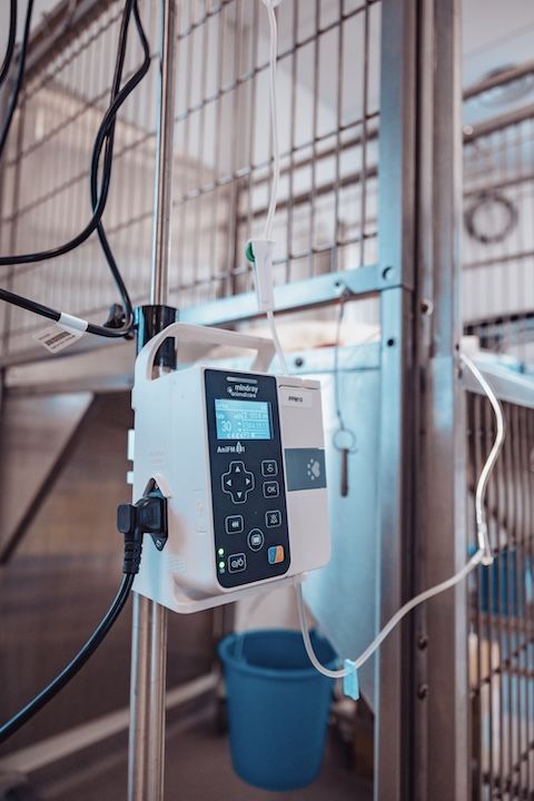 Un gros plan d'une pompe à perfusion fixée à une cage.