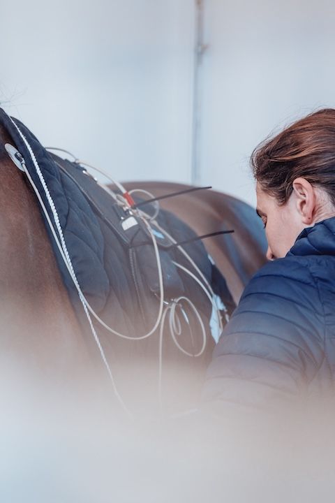 Une femme se tient à côté d'un cheval avec une couverture dessus.