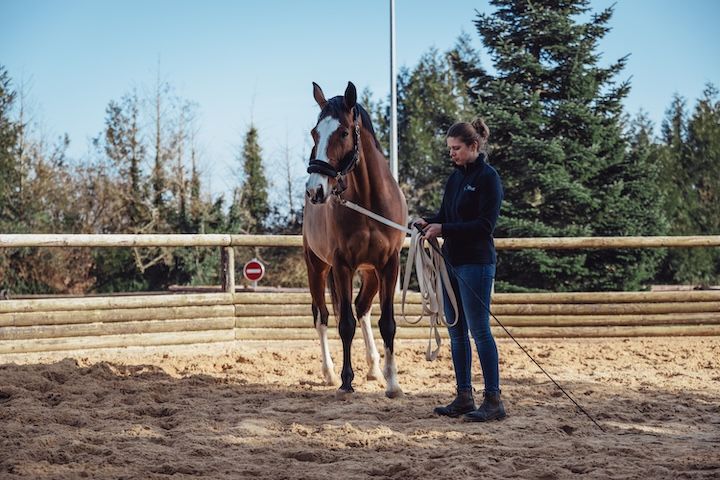 Une femme se tient à côté d'un cheval brun dans une arène en terre.