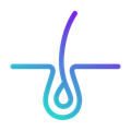 Un dessin au trait d'un follicule pileux avec une goutte d'eau qui en sort.