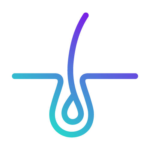 Un dessin au trait d'un follicule pileux avec une goutte d'eau qui en sort.
