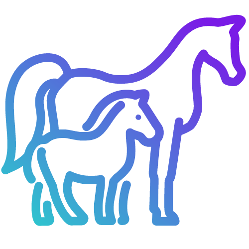 Un dessin au trait de deux chevaux debout l'un à côté de l'autre.