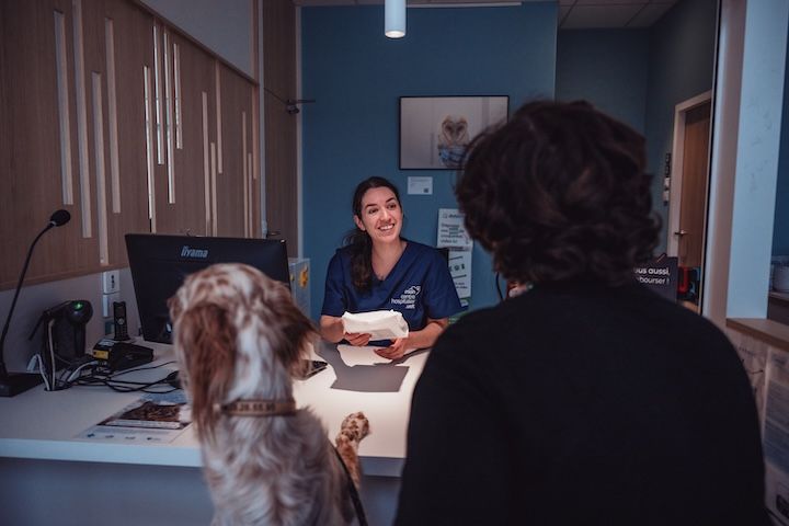 Une femme parle à un chien dans un cabinet vétérinaire.
