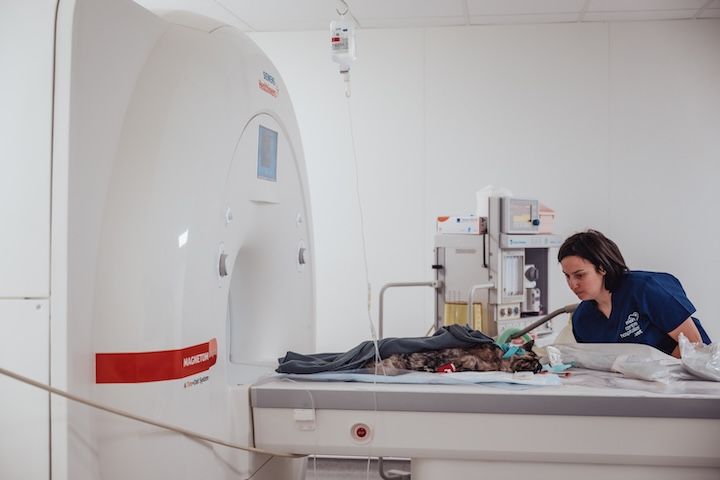 Une femme nettoie une machine IRM dans un hôpital.