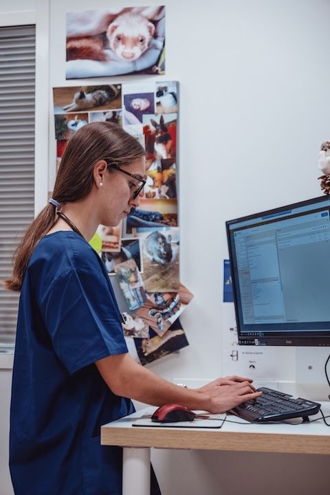 Une vétérinaire utilise un ordinateur dans un cabinet vétérinaire.
