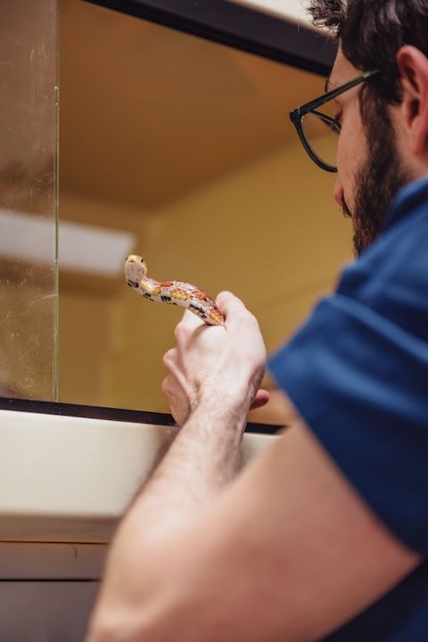 Un homme avec des lunettes tient un serpent dans ses mains.