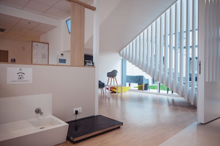 L'accueil d'un centre hospitalier vétérinaire
