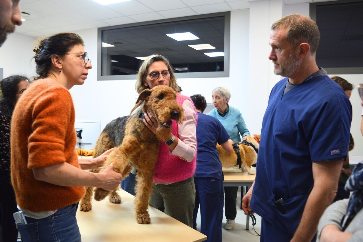 Un groupe de personnes se tient autour d'une table tenant un chien.