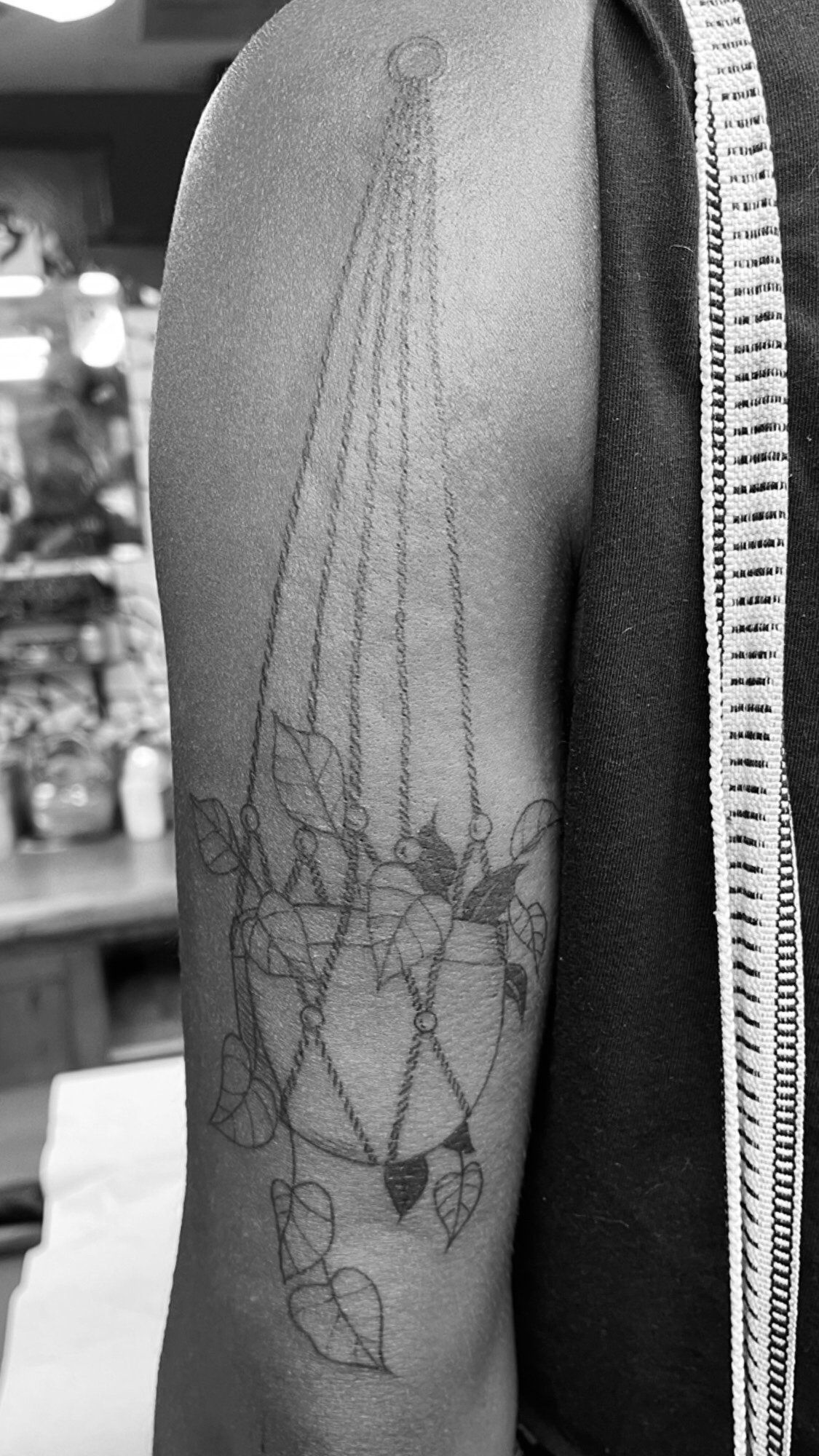 A black and white photo of a person 's arm with a tattoo of a hanging potted plant.