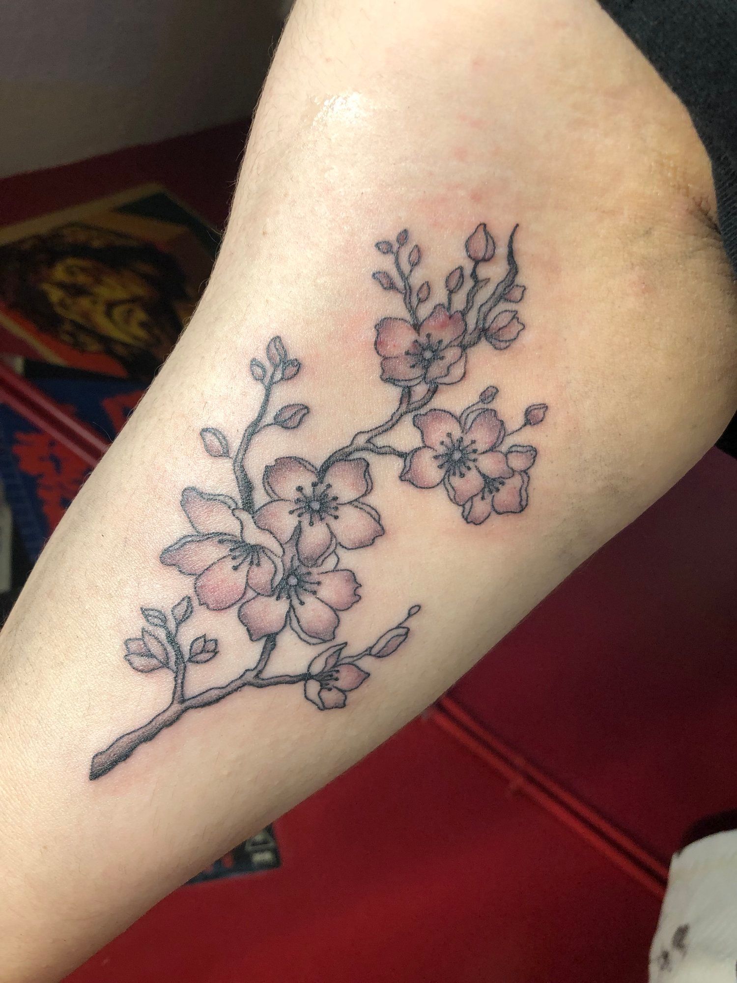 A tattoo of a cherry blossom branch on a person 's arm