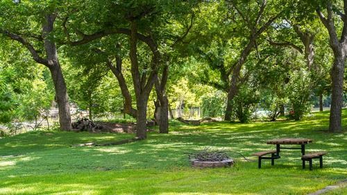 Grassy park with trees, picnic table, and fire pit. Sunlight streams through the leaves.