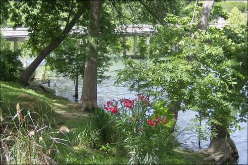 Riverside scene with trees, red flowers, and a bridge in the background.