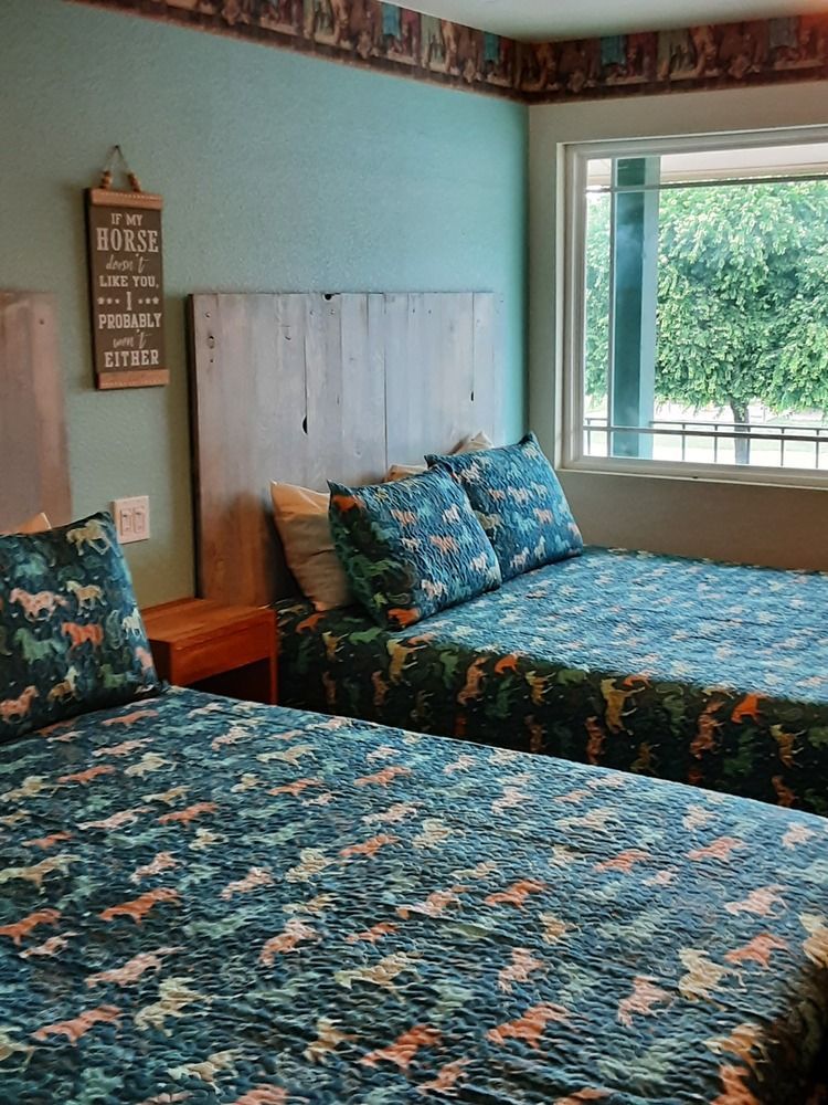 Twin beds in a turquoise room with horse patterned bedding. A window shows trees.