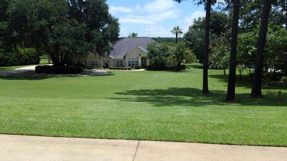 lawn maintenance services in tallahassee fl