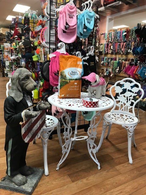 paradise poochie store image dog st. augustine