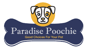 St. Augustine's #1 Choice for Local Healthy Pet Food