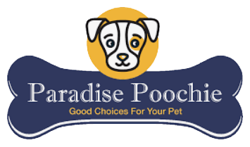 St. Augustine s 1 Choice for Local Healthy Pet Food