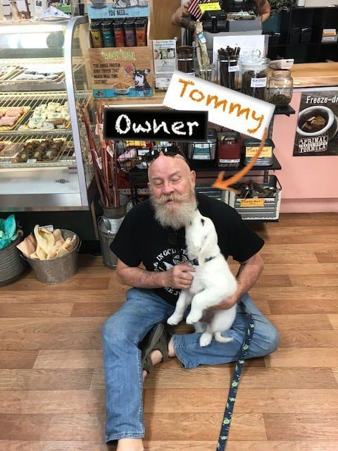 tommy brennan paradise poochie owner saint augustine florida pet store
