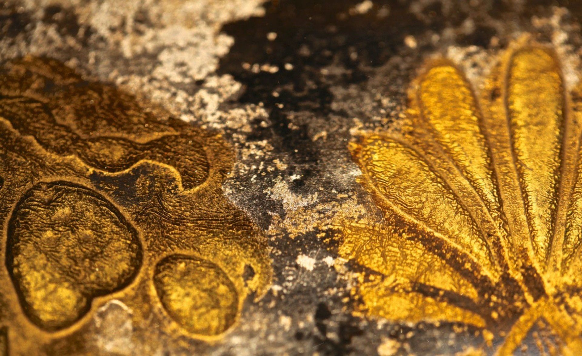 A close up of a gold leaf on a black surface.