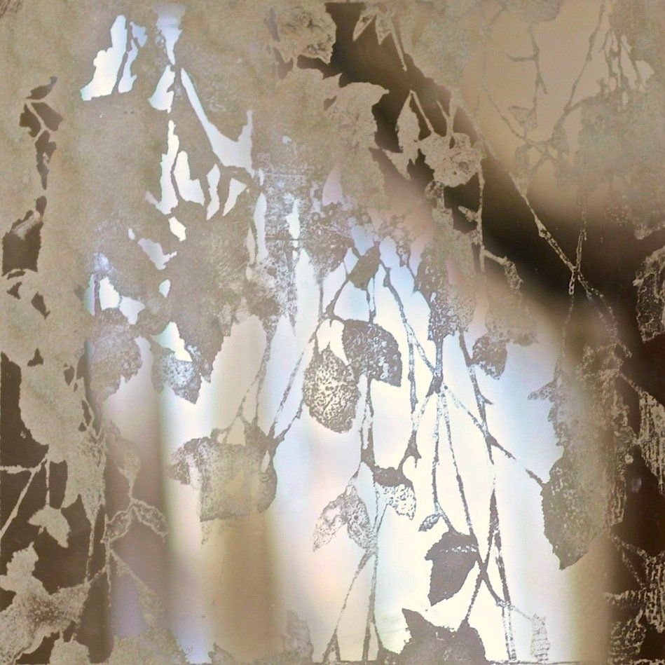 A close up of a window with a floral pattern on it